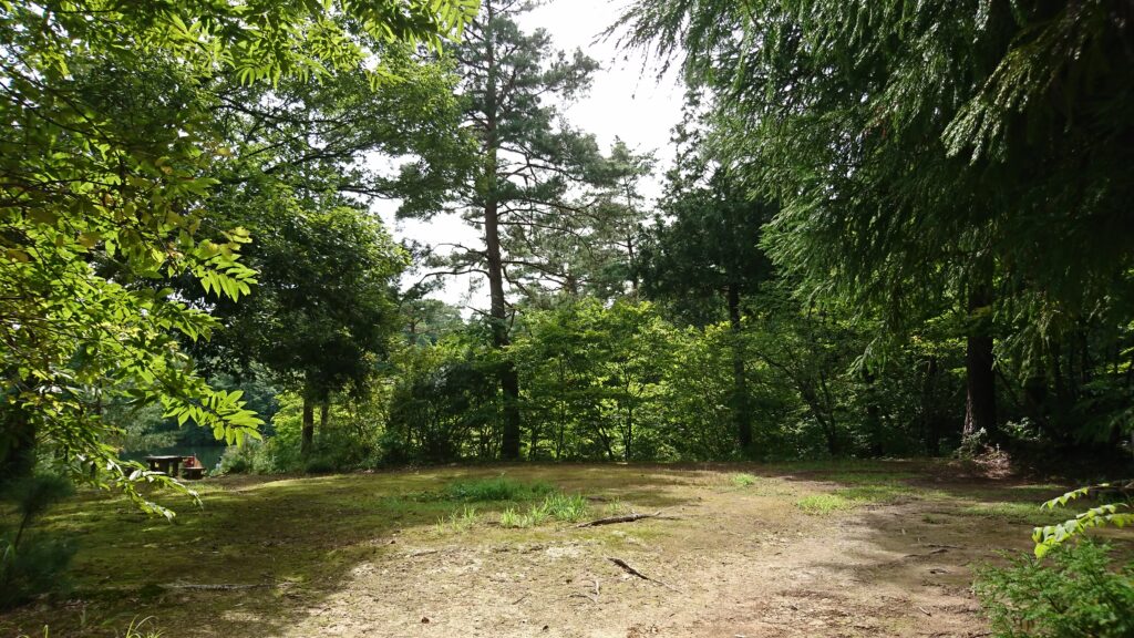 自然の風景のようなデザイン